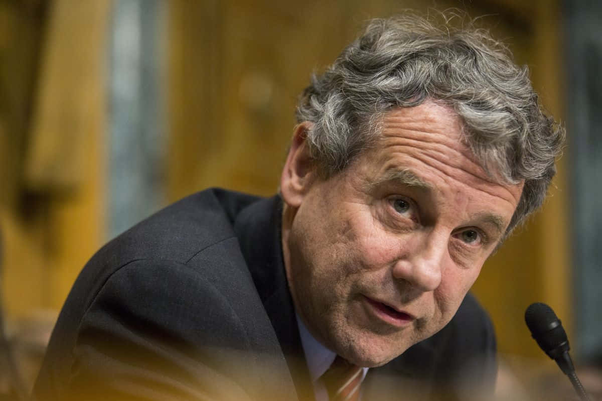 Sherrod Brown Looking Up From Desk Background