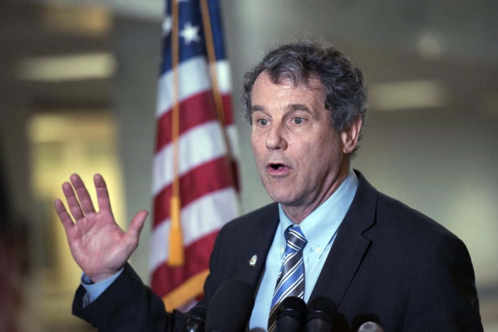 Sherrod Brown With Us Flag Picture