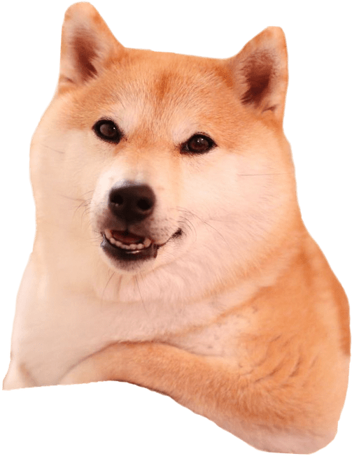 Shiba Inu Cushion Design PNG