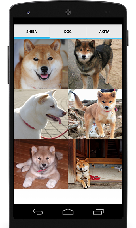 Shiba Inu Dog Breeds Mobile App PNG