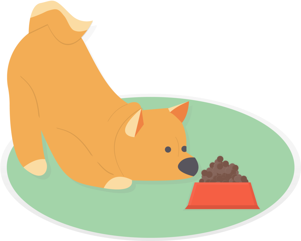 Shiba Inu Eating Dog Food Illustration PNG