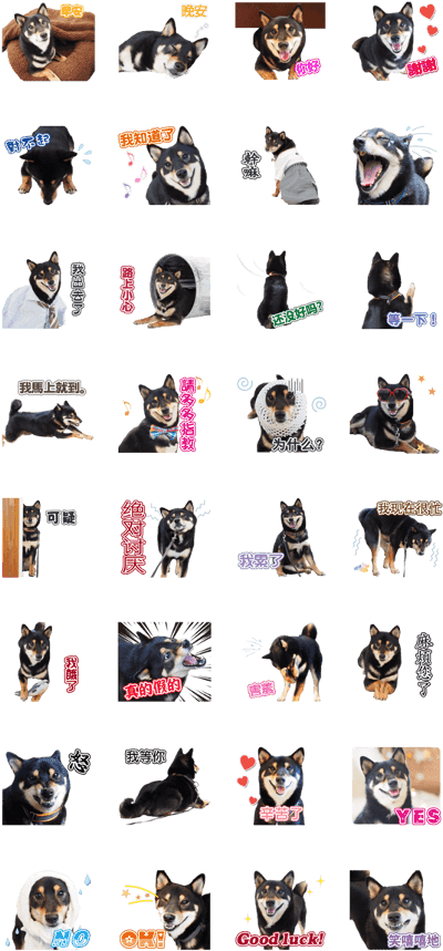 Shiba Inu Emotion Stickers PNG