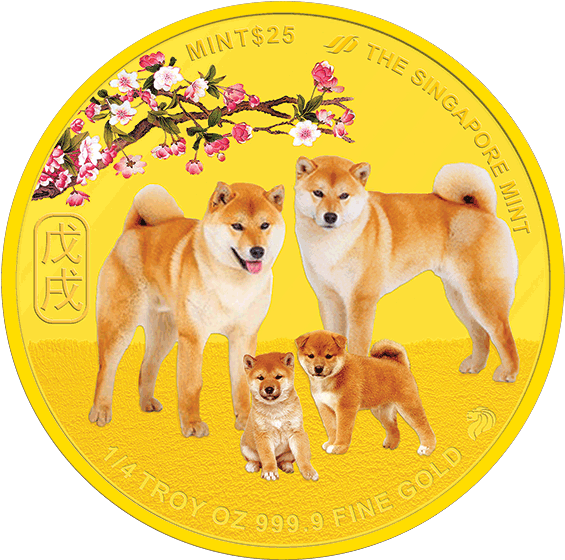 Shiba Inu Gold Coin Design PNG