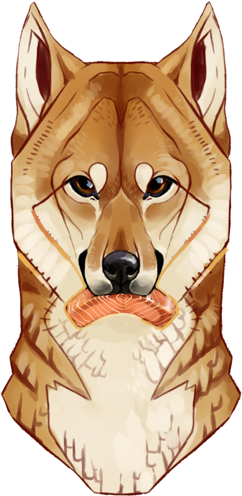 Shiba Inu Illustration PNG