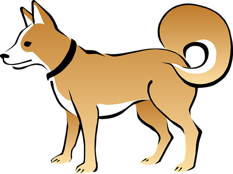 Shiba Inu Illustration PNG