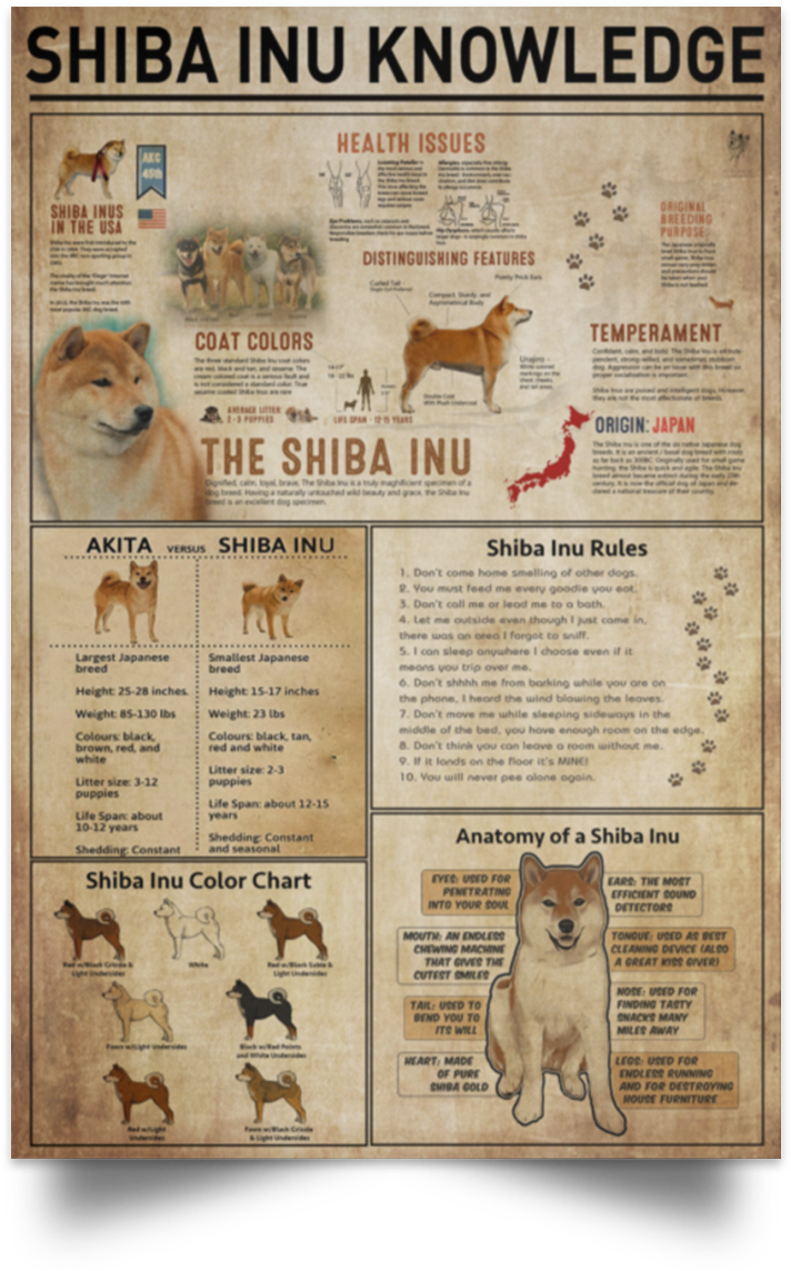 Shiba Inu Infographic Poster PNG