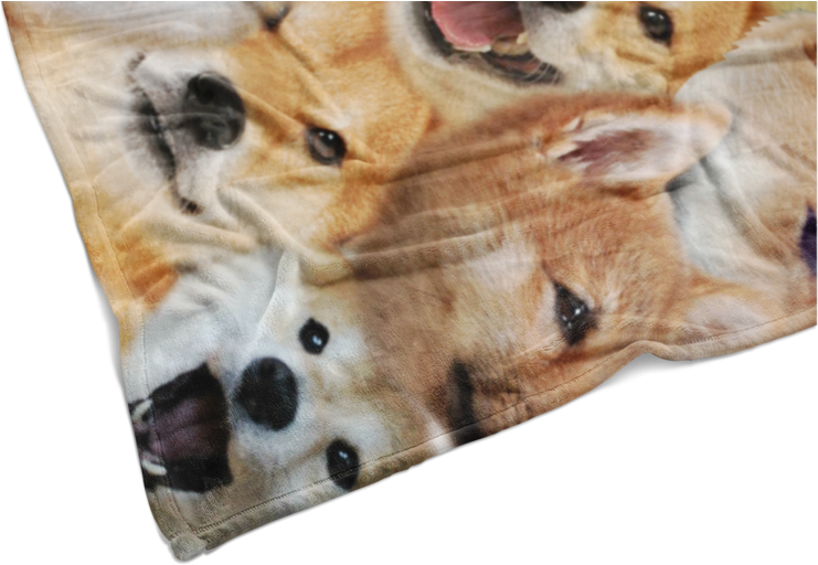 Shiba Inu Printed Blanket PNG