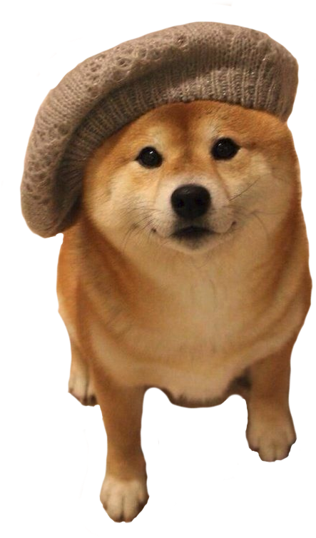 Shiba Inu Wearing Beret PNG