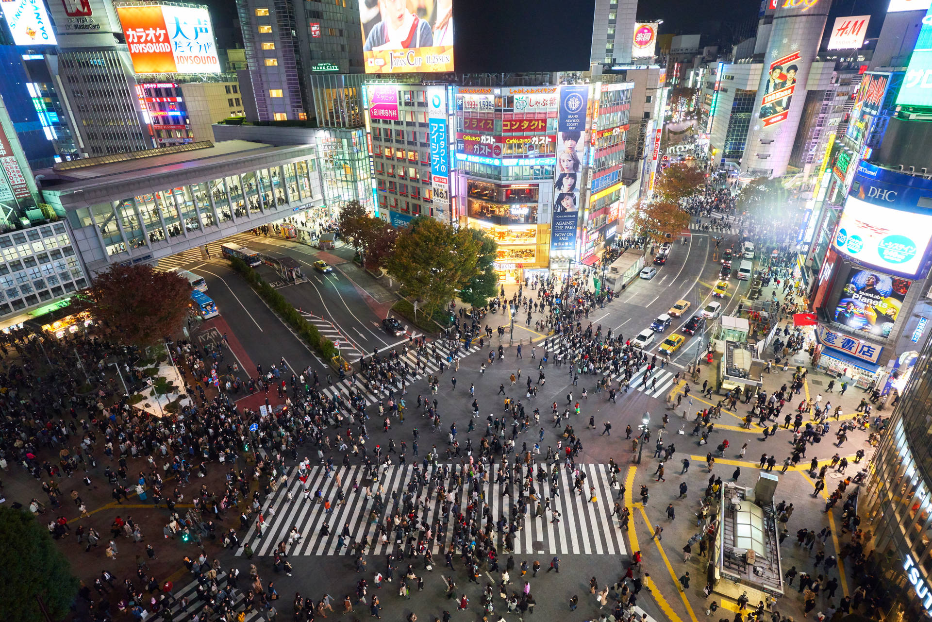 Shibuya Crossing Japan 4k Picture
