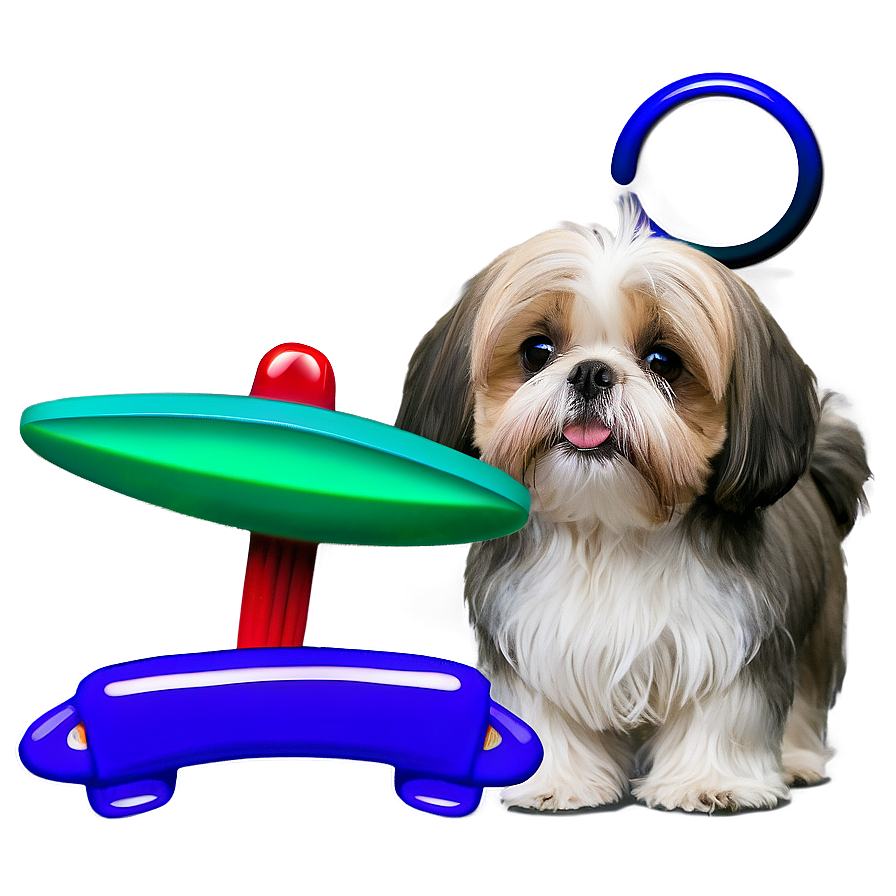 Shih Tzu Summer Fun Png Ngu PNG