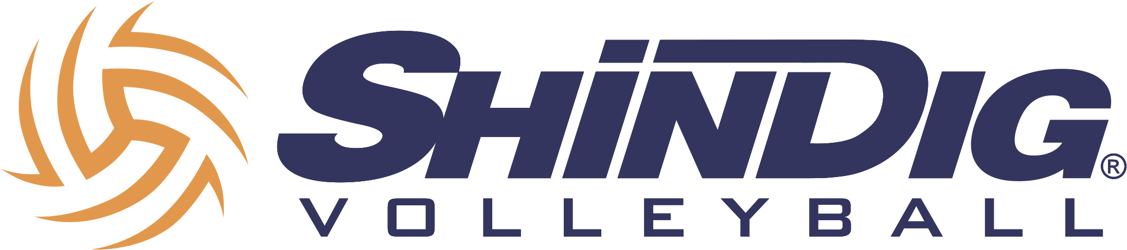 Download Shindig Volleyball Logo | Wallpapers.com