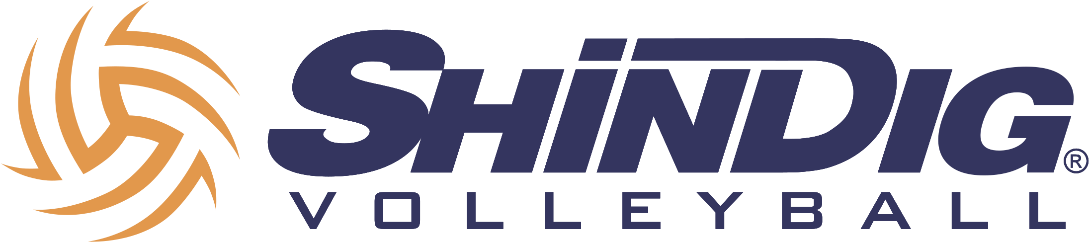 Shindig Volleyball Logo PNG