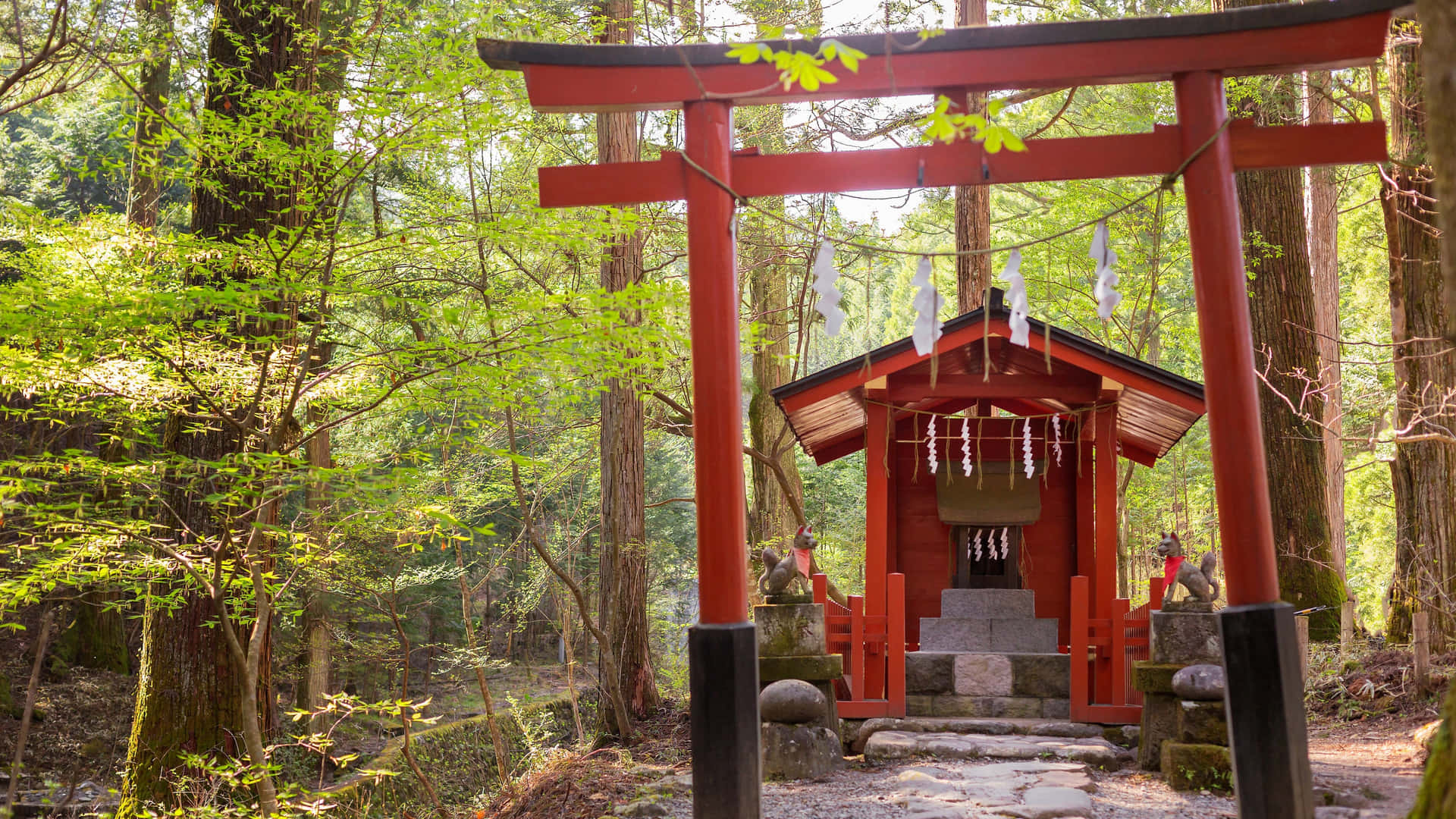 Serene Shinto Shrine amid lush greenery and traditional torii gate Wallpaper