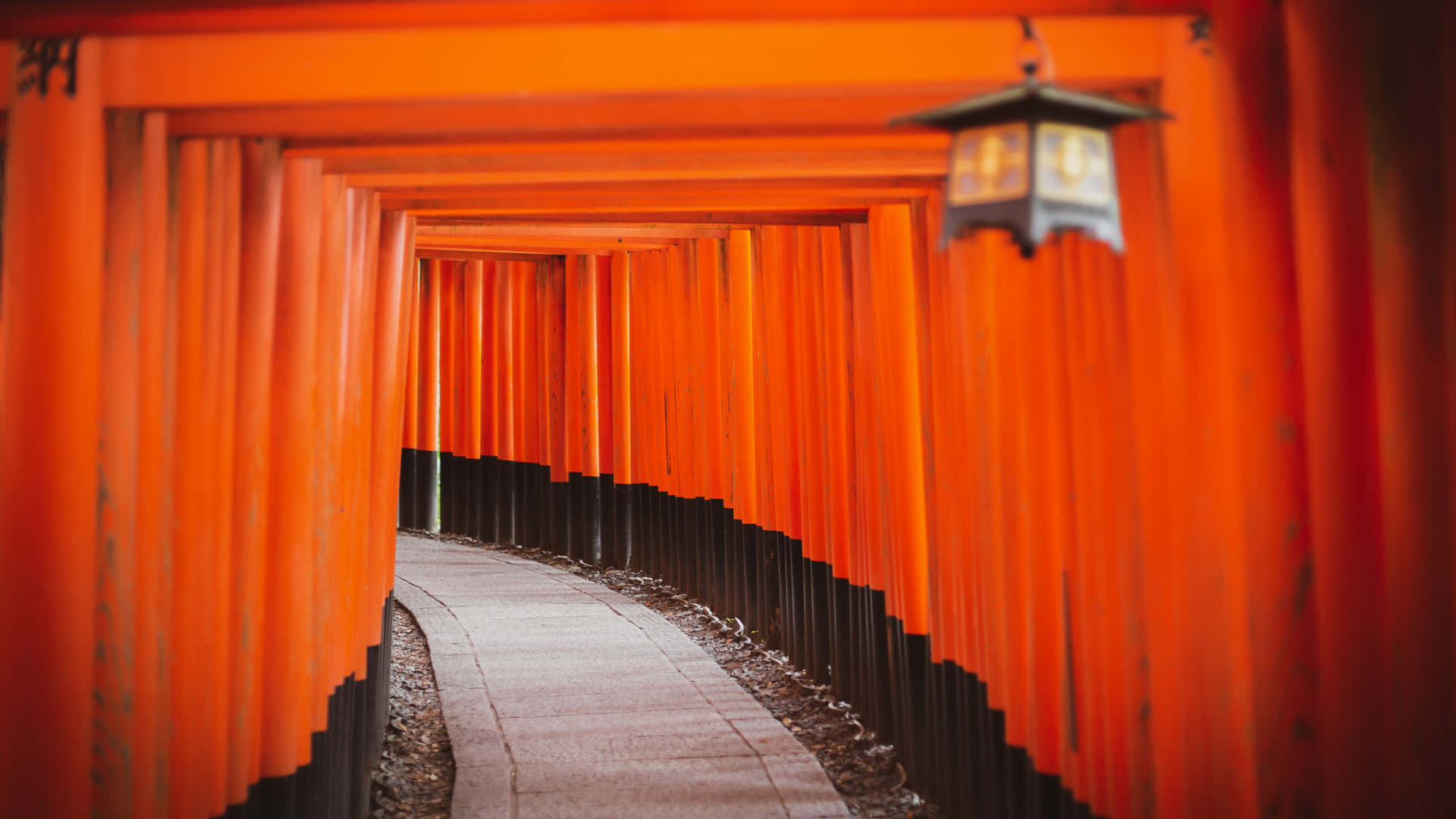 Fondode Pantalla: Tranquilo Santuario Shinto Rodeado De Naturaleza Fondo de pantalla