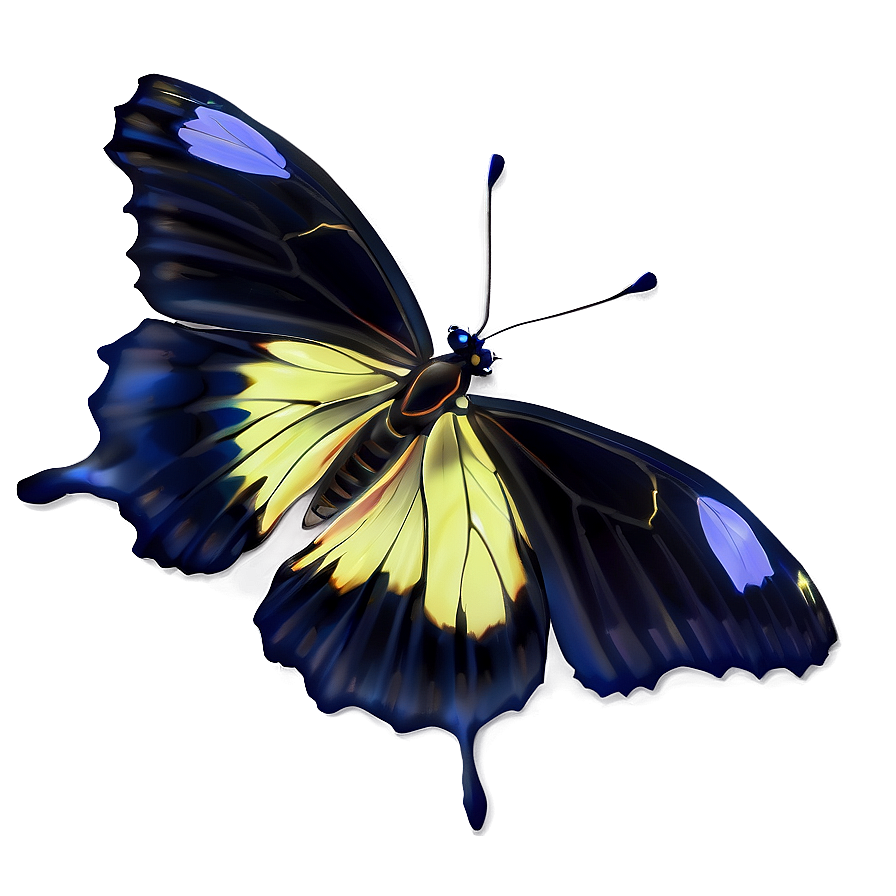 Shiny Black Butterfly Png Mdp74 PNG