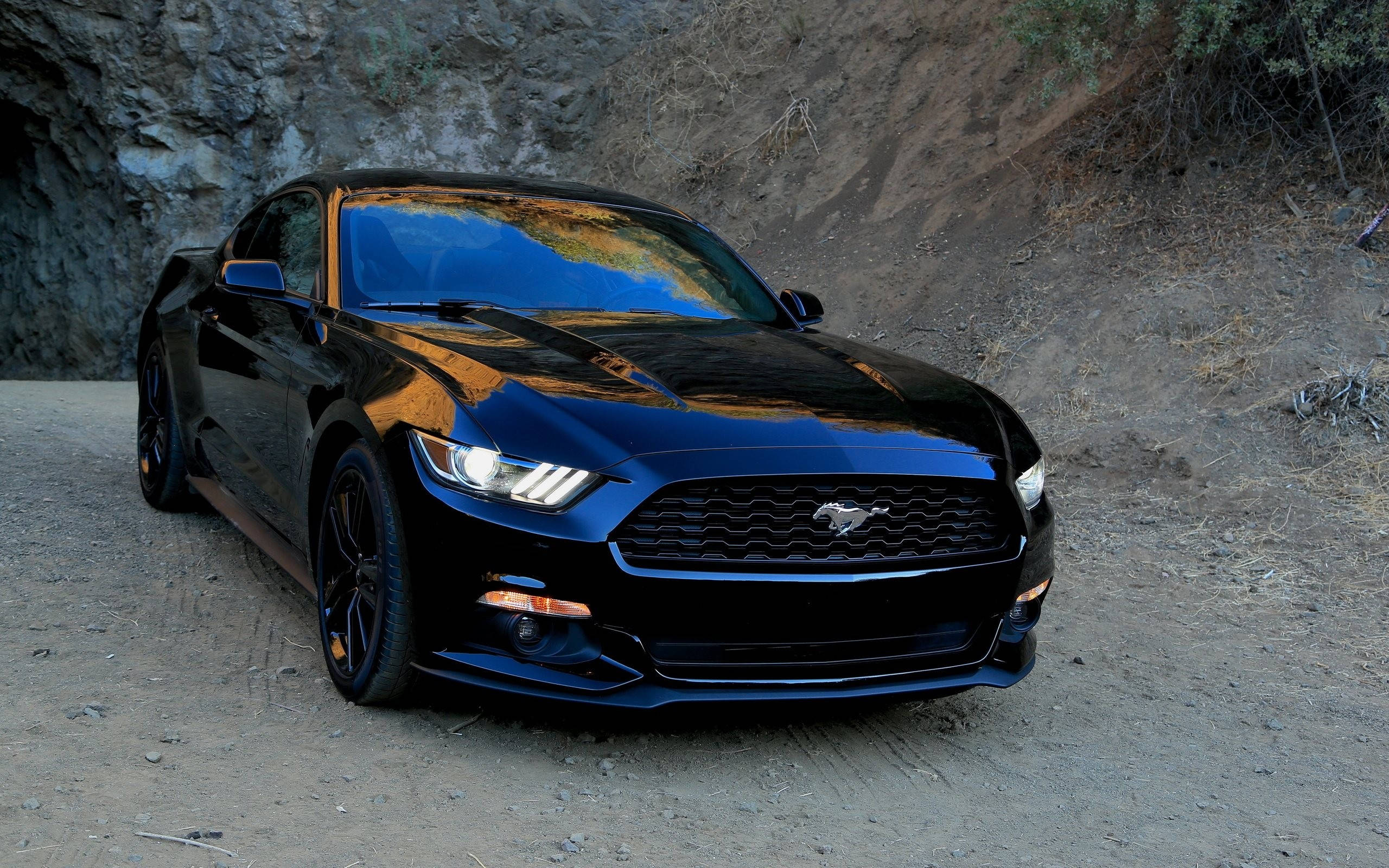 Shiny Black Ford Mustang Hd Wallpaper