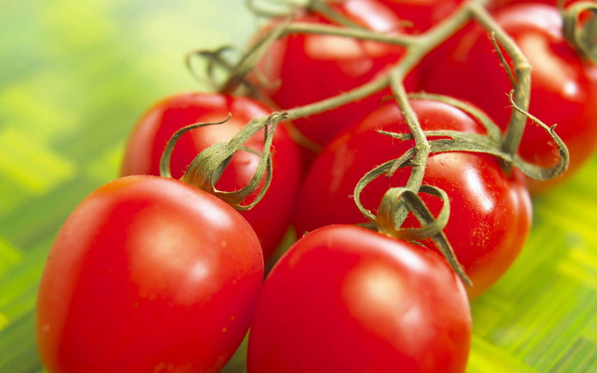 Glänzende,in Büscheln Angeordnete Rote Tomatenfrüchte Wallpaper