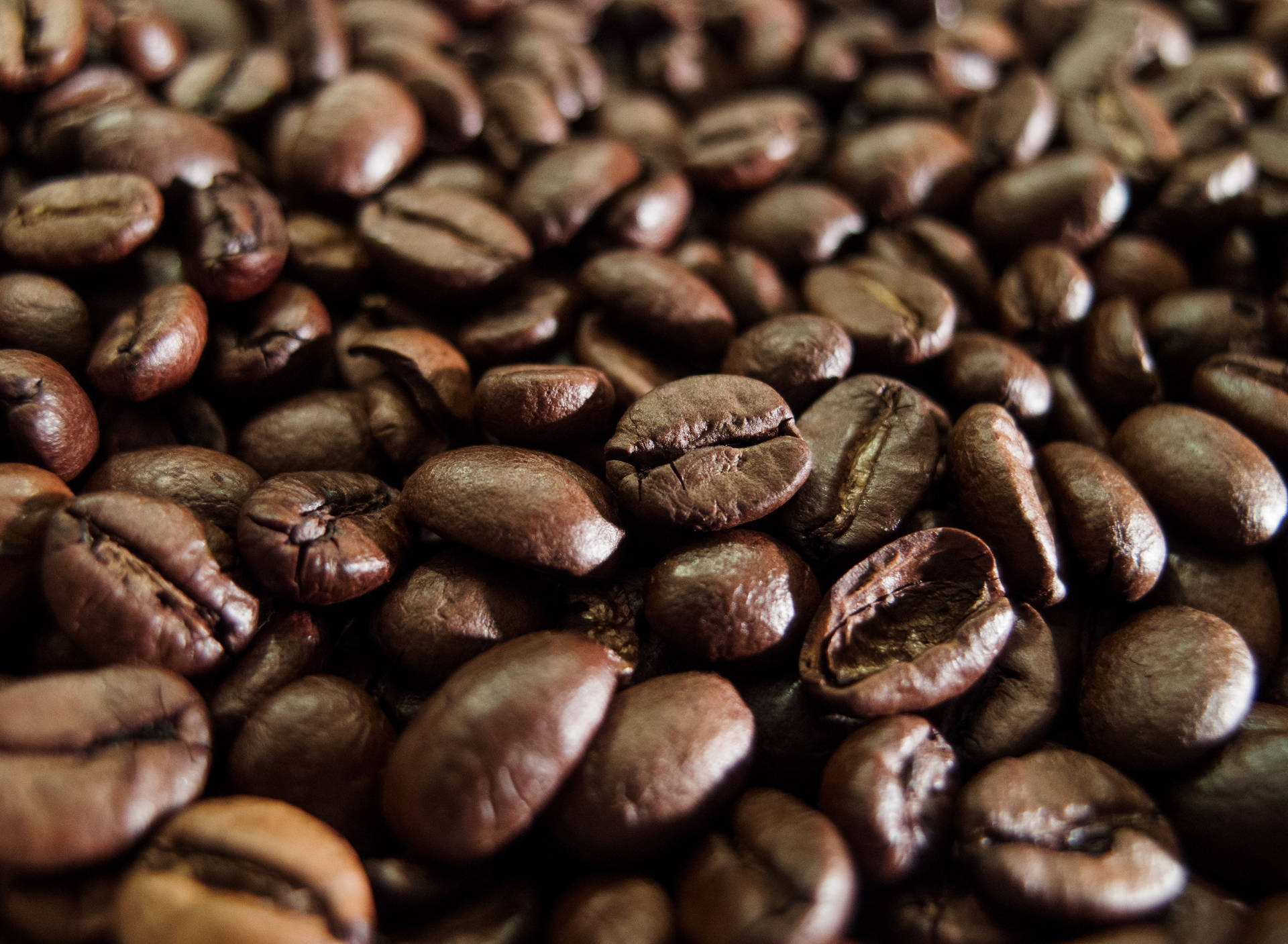 Shiny Dark Roasted Coffee Beans Wallpaper