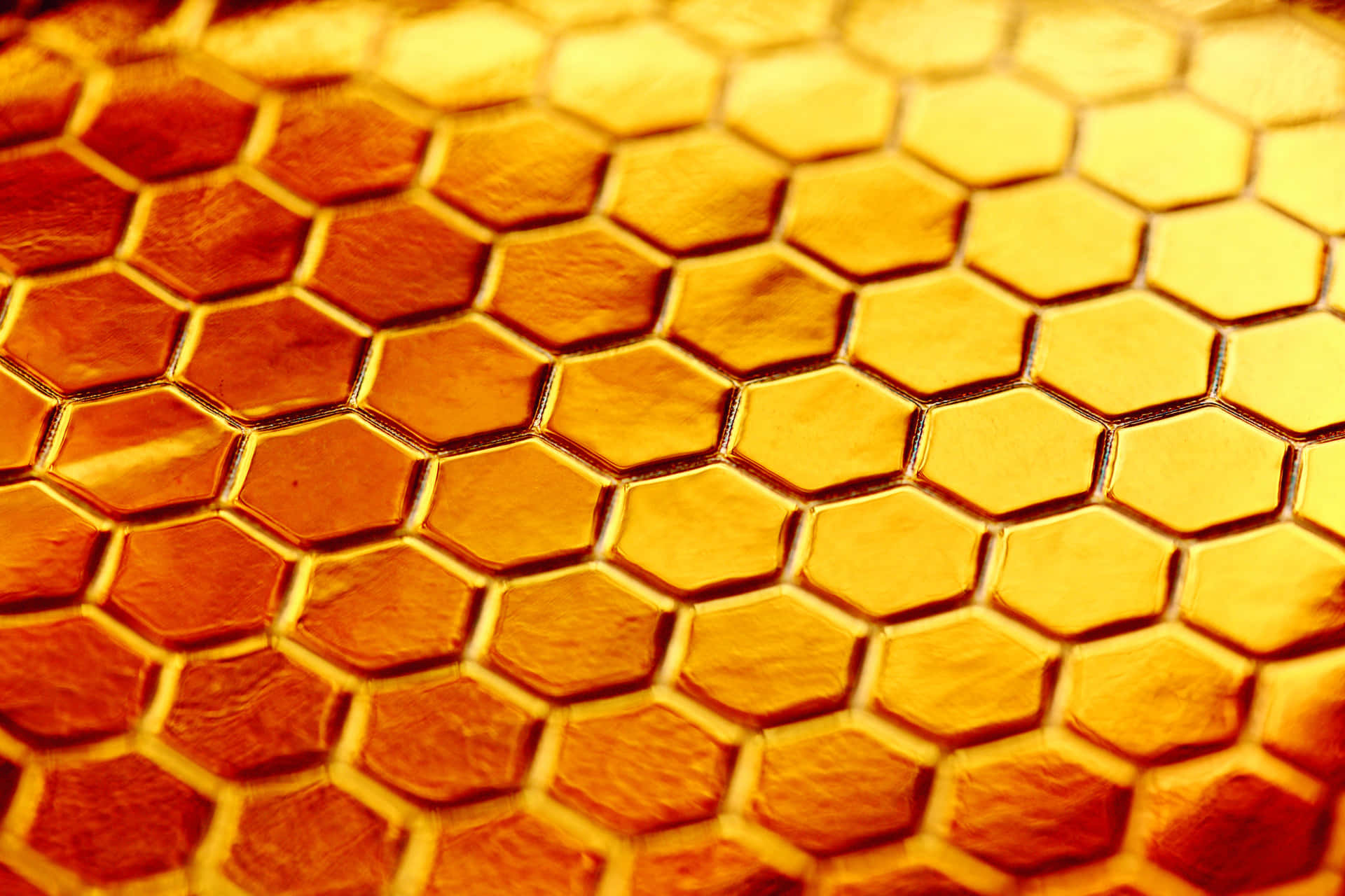 Honeycombs - Close Up Honeycombs