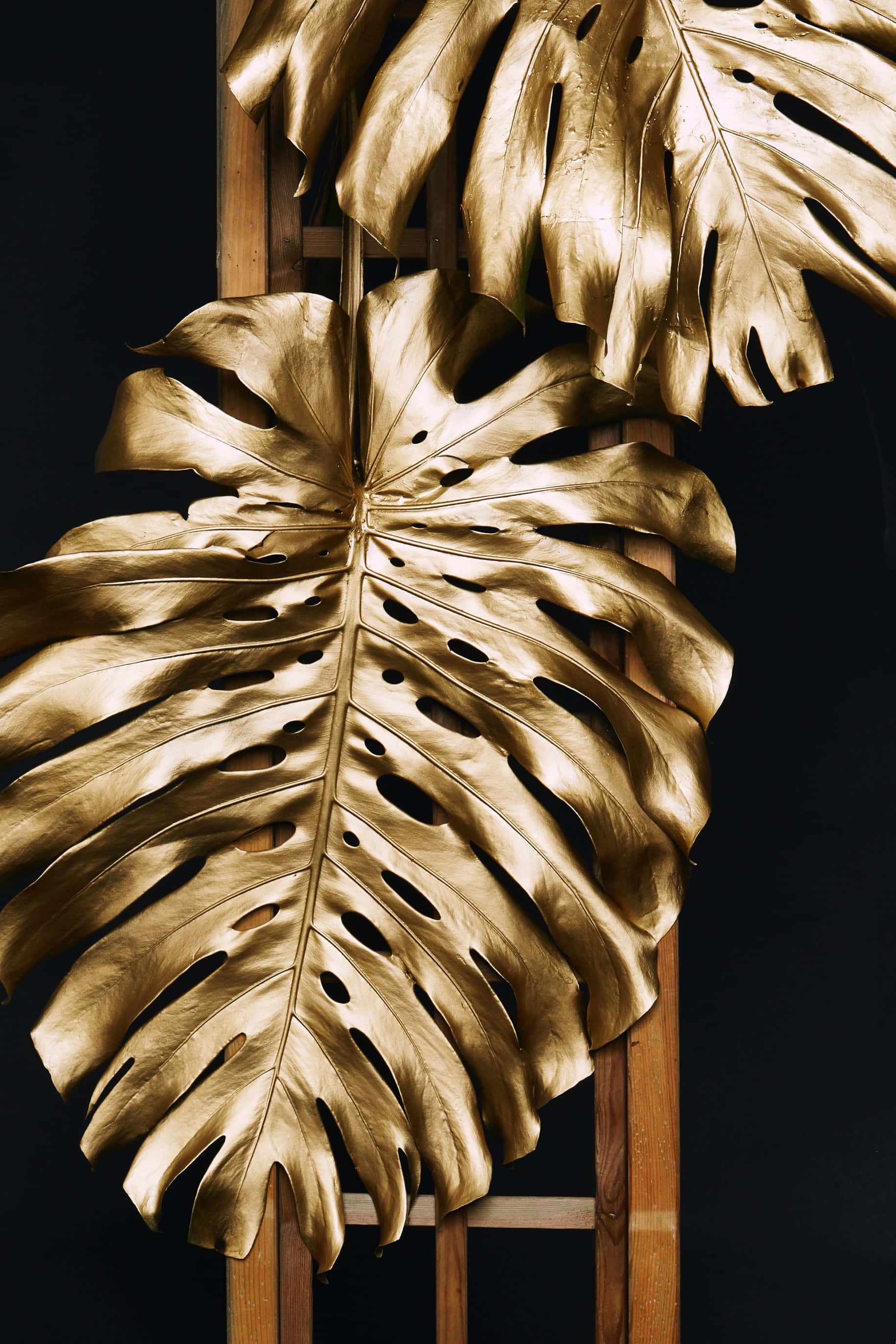 Two Gold Leaves On A Wooden Ladder