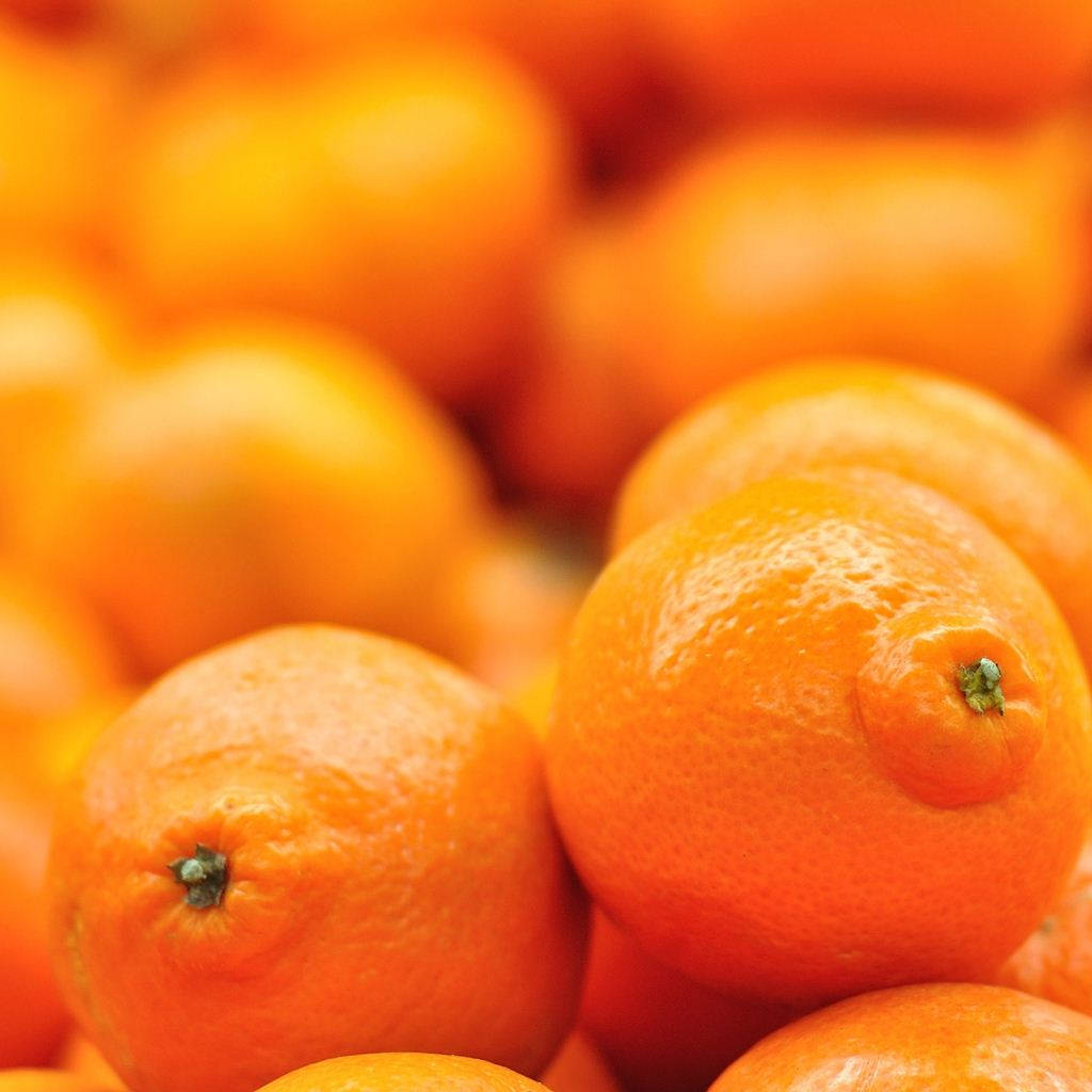 Frutasde Mandarina Brillantes. Fondo de pantalla