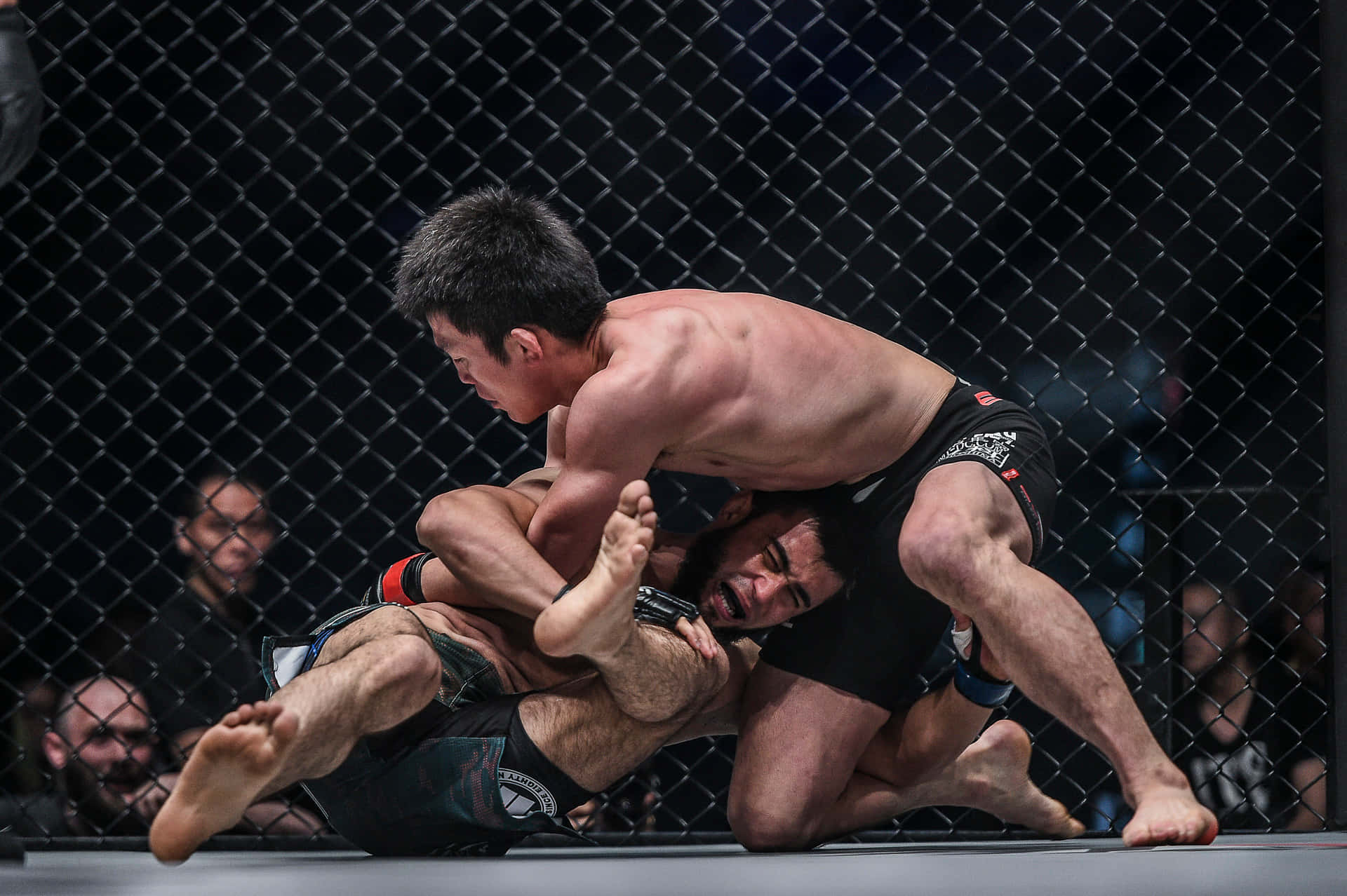 Shinya Aoki Trapping Opponent One Championship Wallpaper