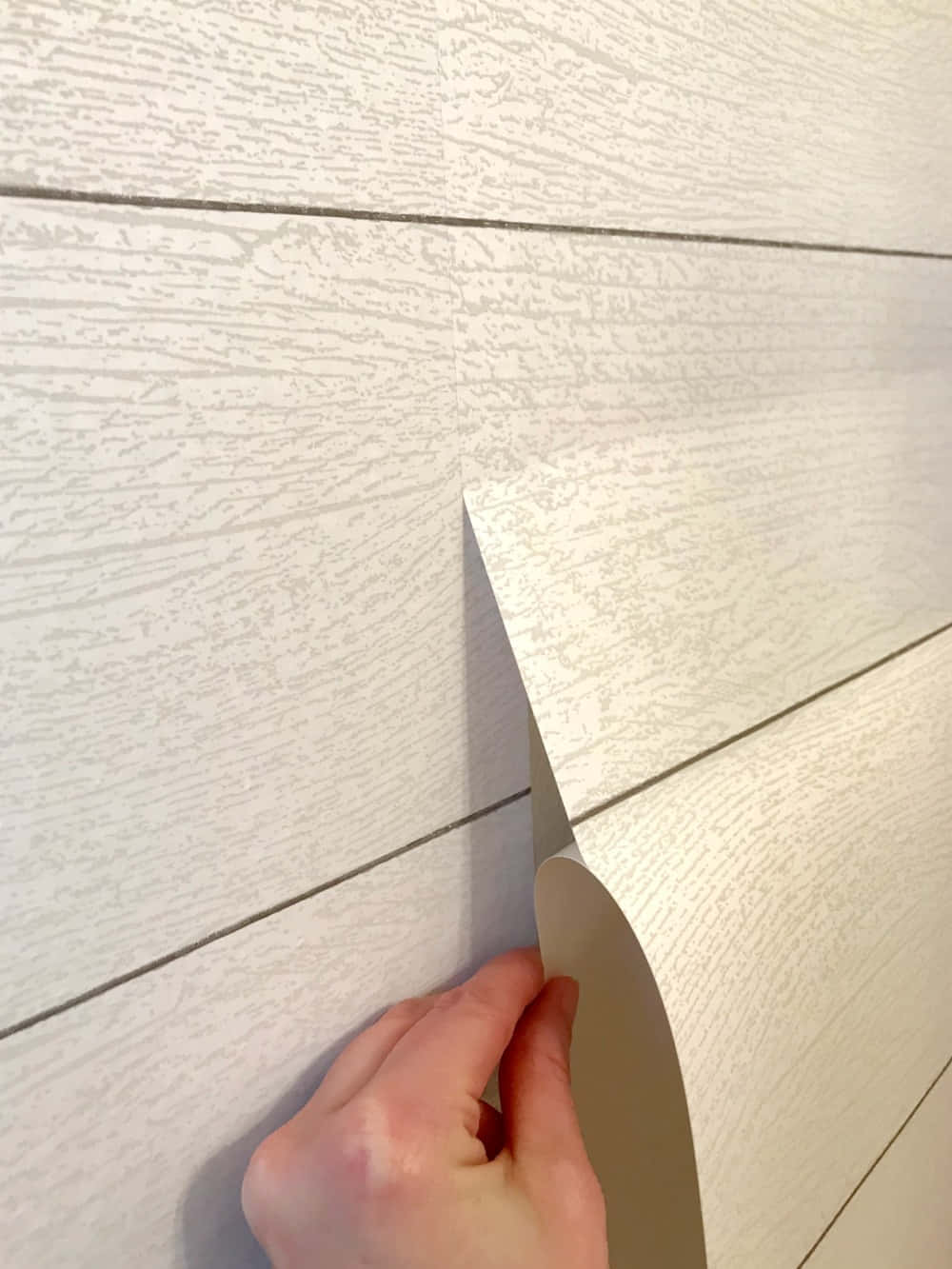 A Person Is Holding A White Vinyl Wall Paper