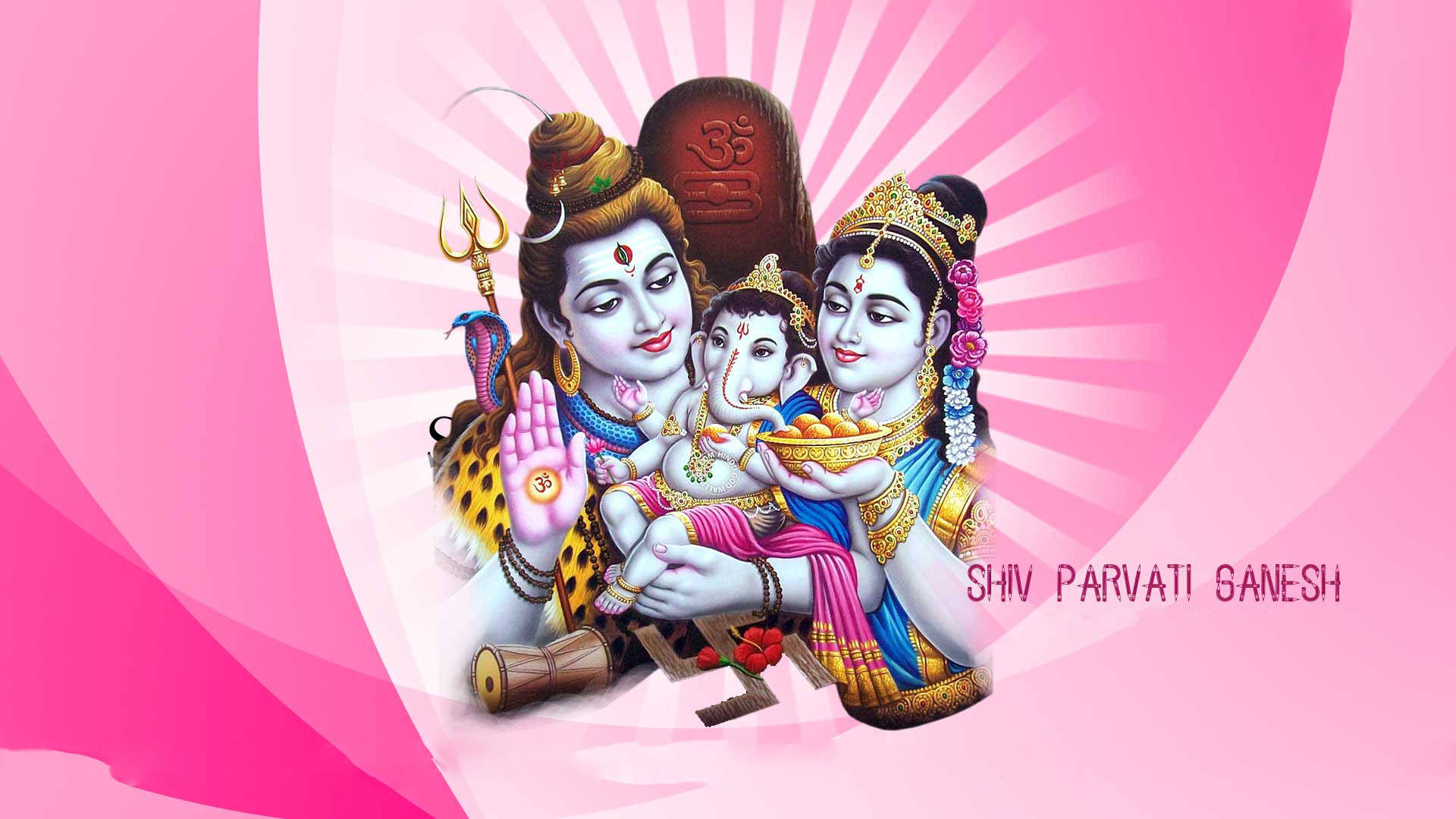 Shiv Parivar In Pink Abstract