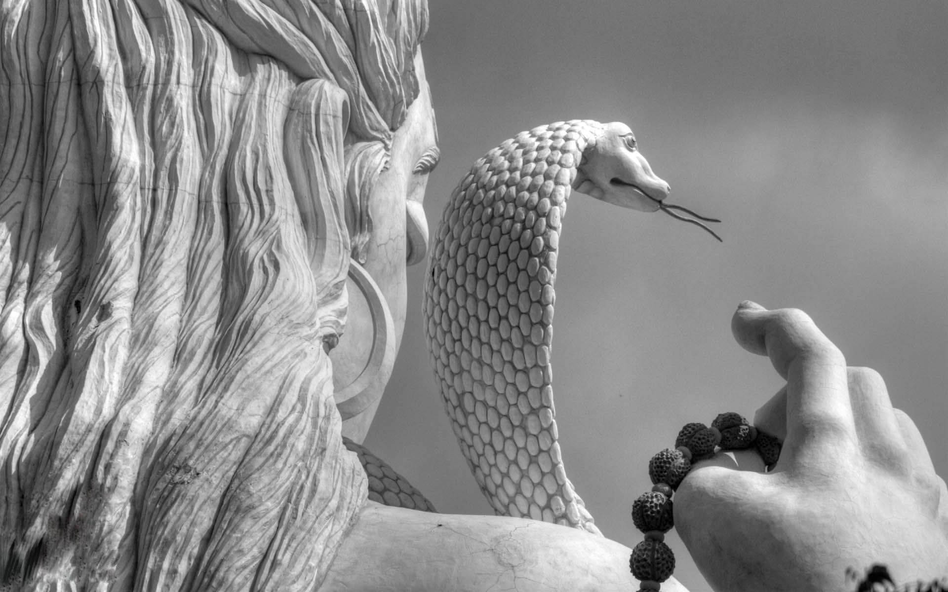 Shivtandav Estético Blanco: Shiva Y Serpiente Fondo de pantalla