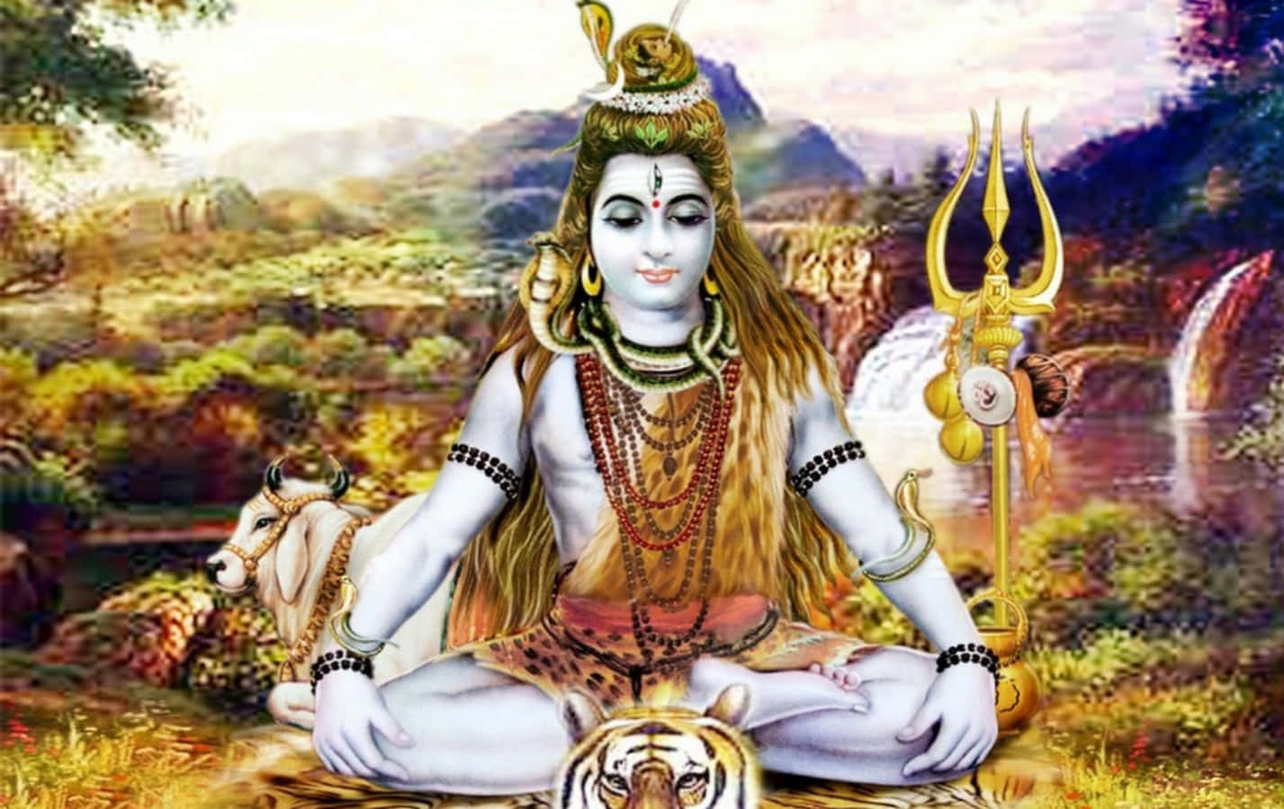lord shiva sitting on the tiger