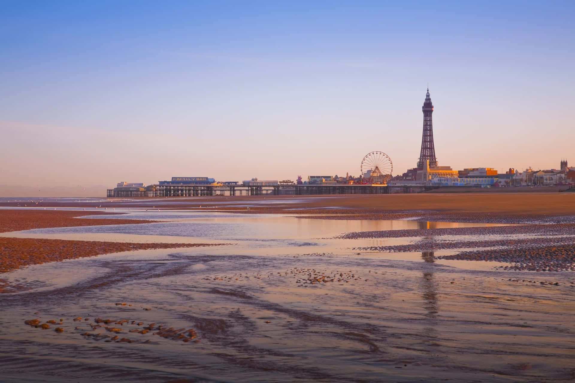 Shoals Of Blackpool Tower Wallpaper