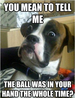 Shocked Dog Ball Revelation Meme PNG