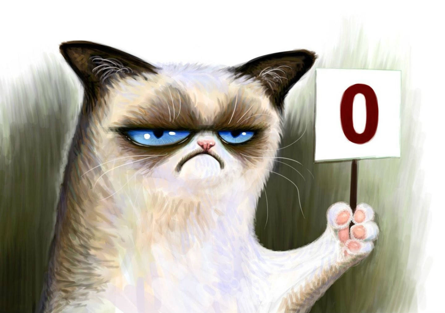 Short-tempered cat meme wallpaper