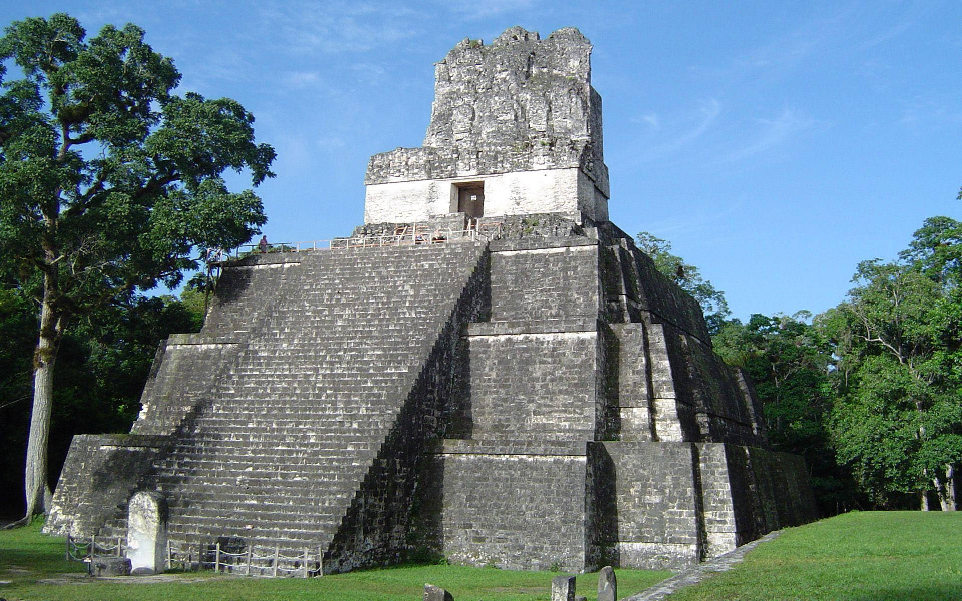 Brevepiramide Di Tikal Sfondo