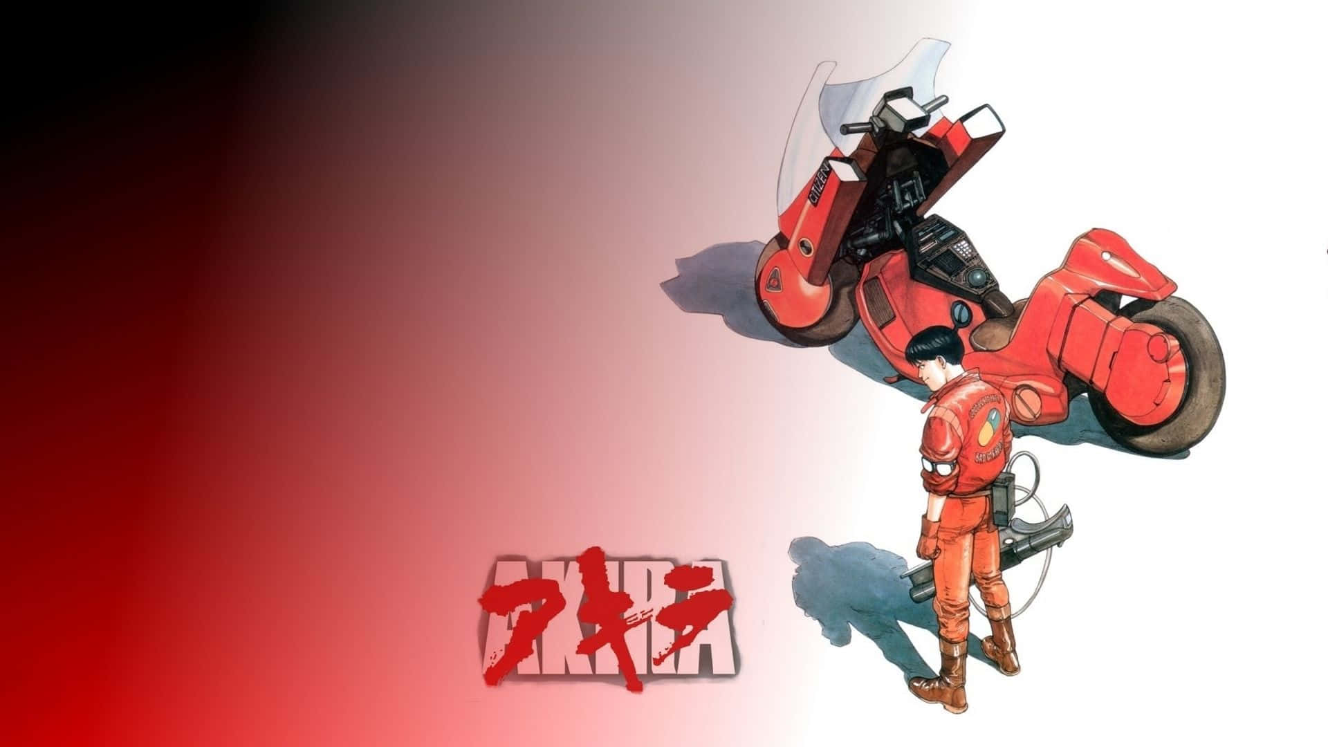 Shotaro Kaneda Riding His Motorcycle In Cyberpunk City Wallpaper
