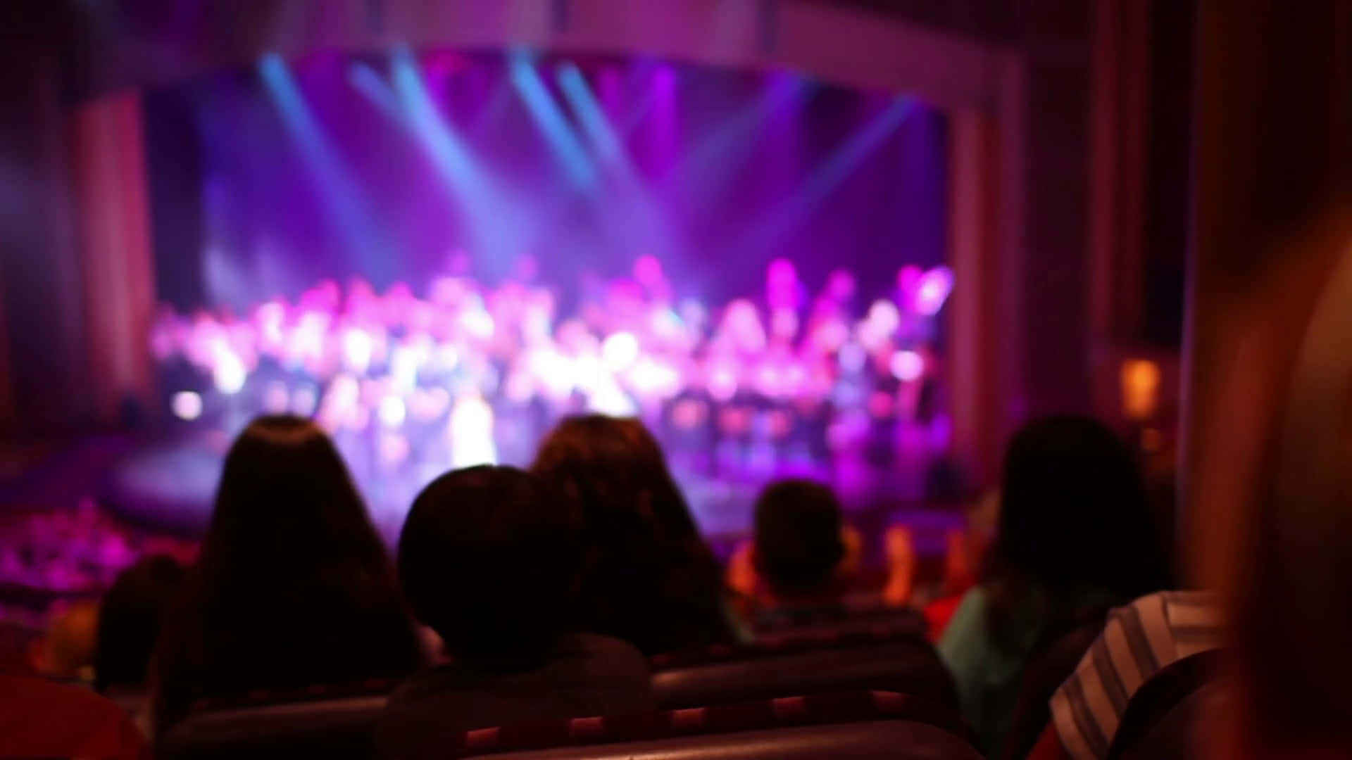 Audience At A Show Picture