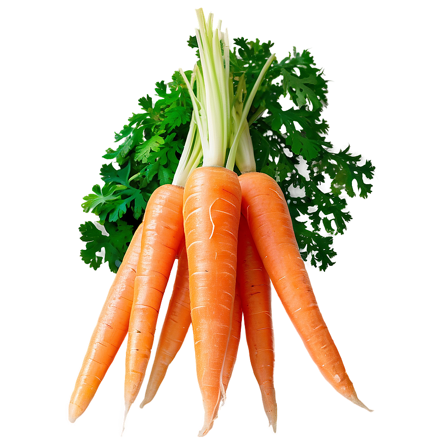 Shredded Carrot Png 05242024 PNG