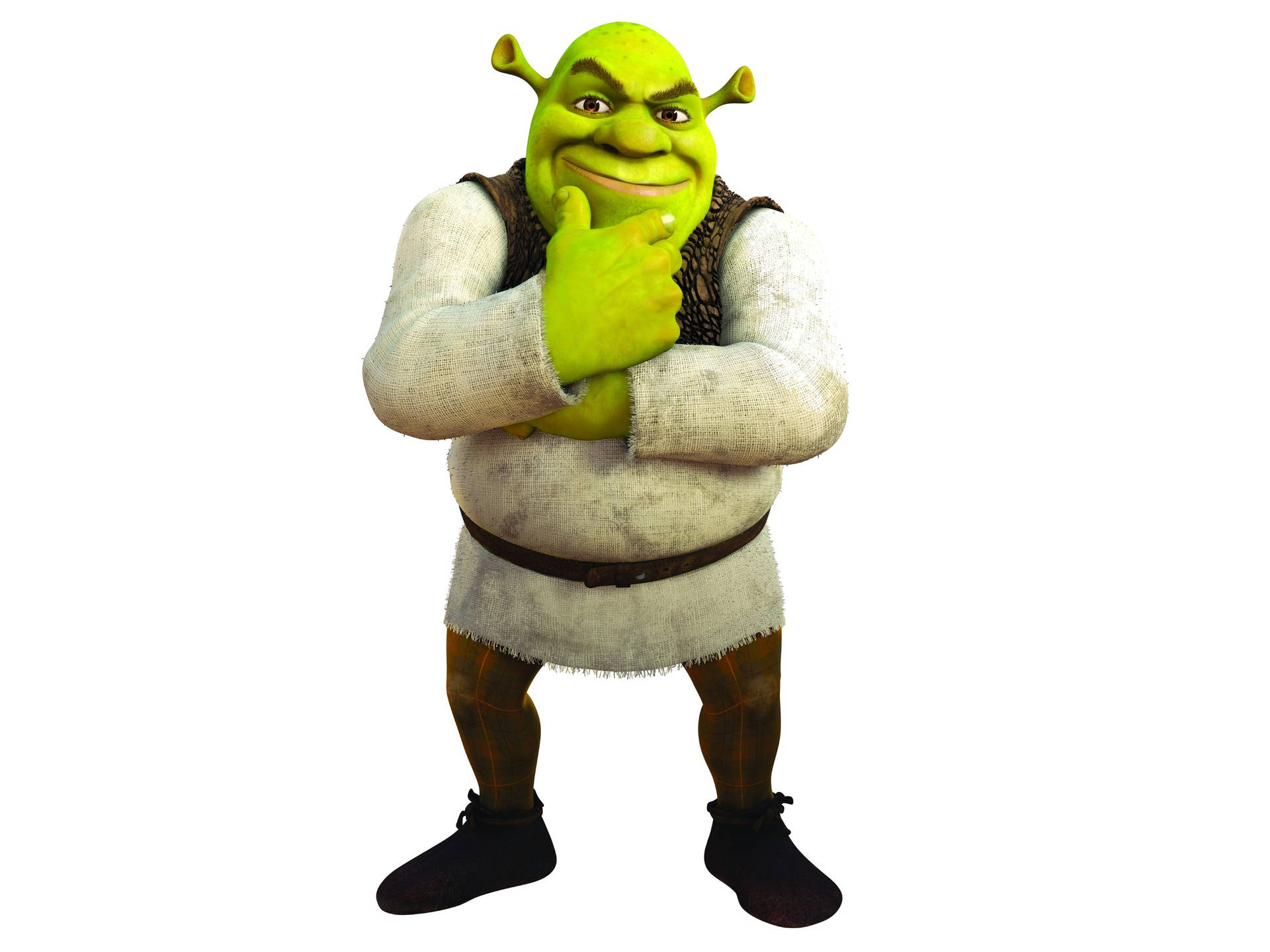 Shrek 4k Solo Wallpaper
