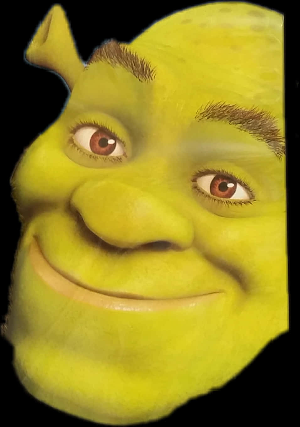 Shrek Character Close Up PNG