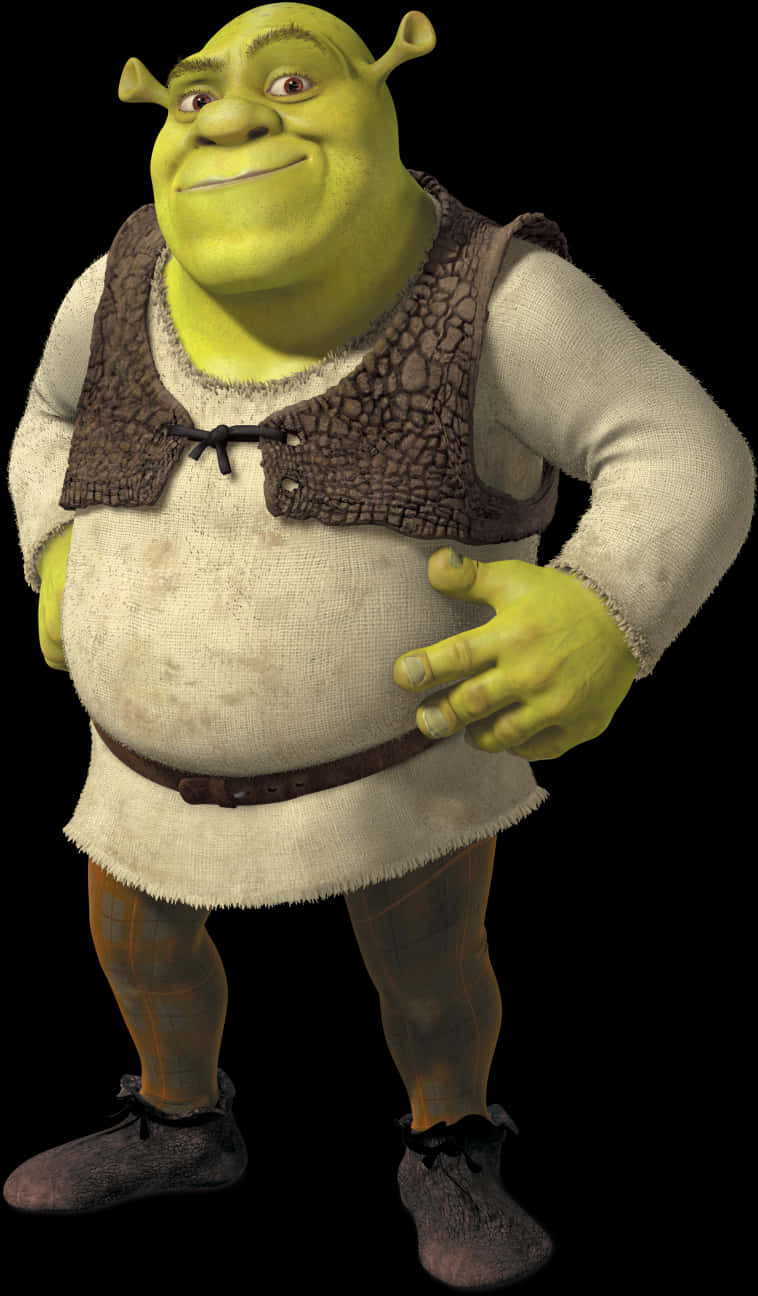Shrek Character Portrait PNG