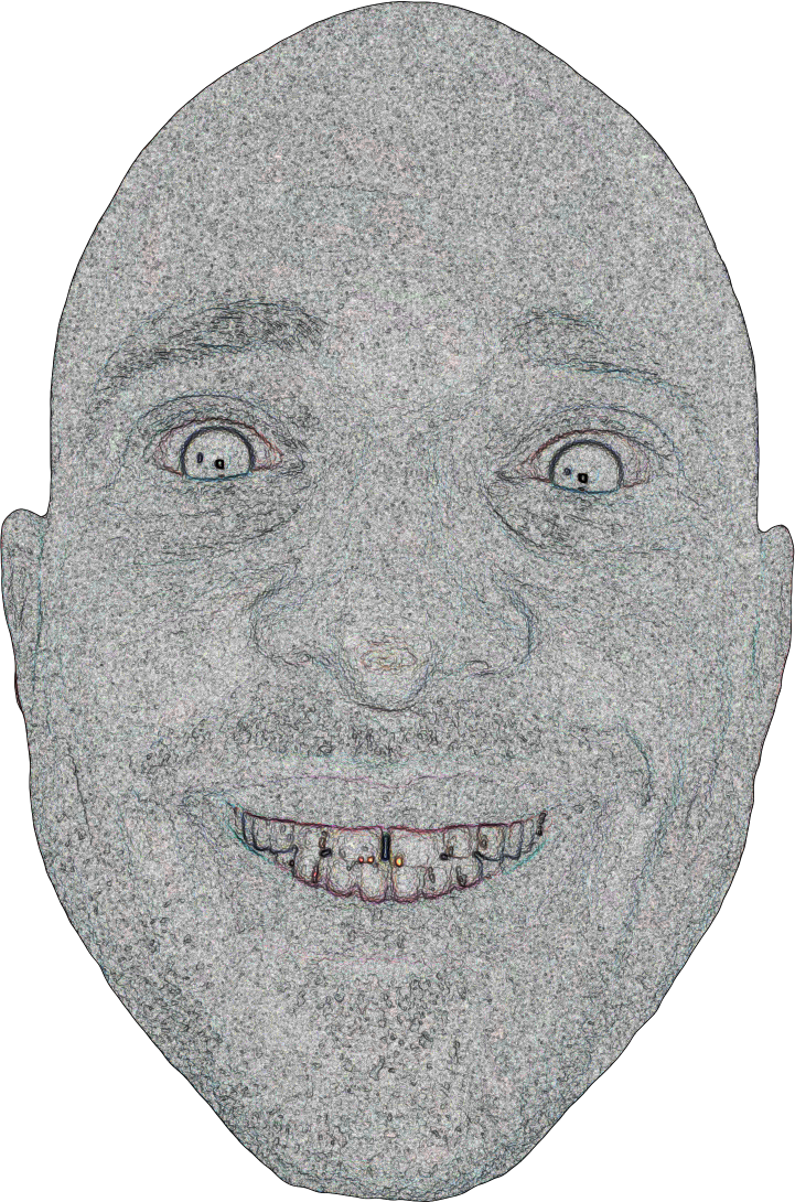 Shrek Character Sketched Face Portrait PNG