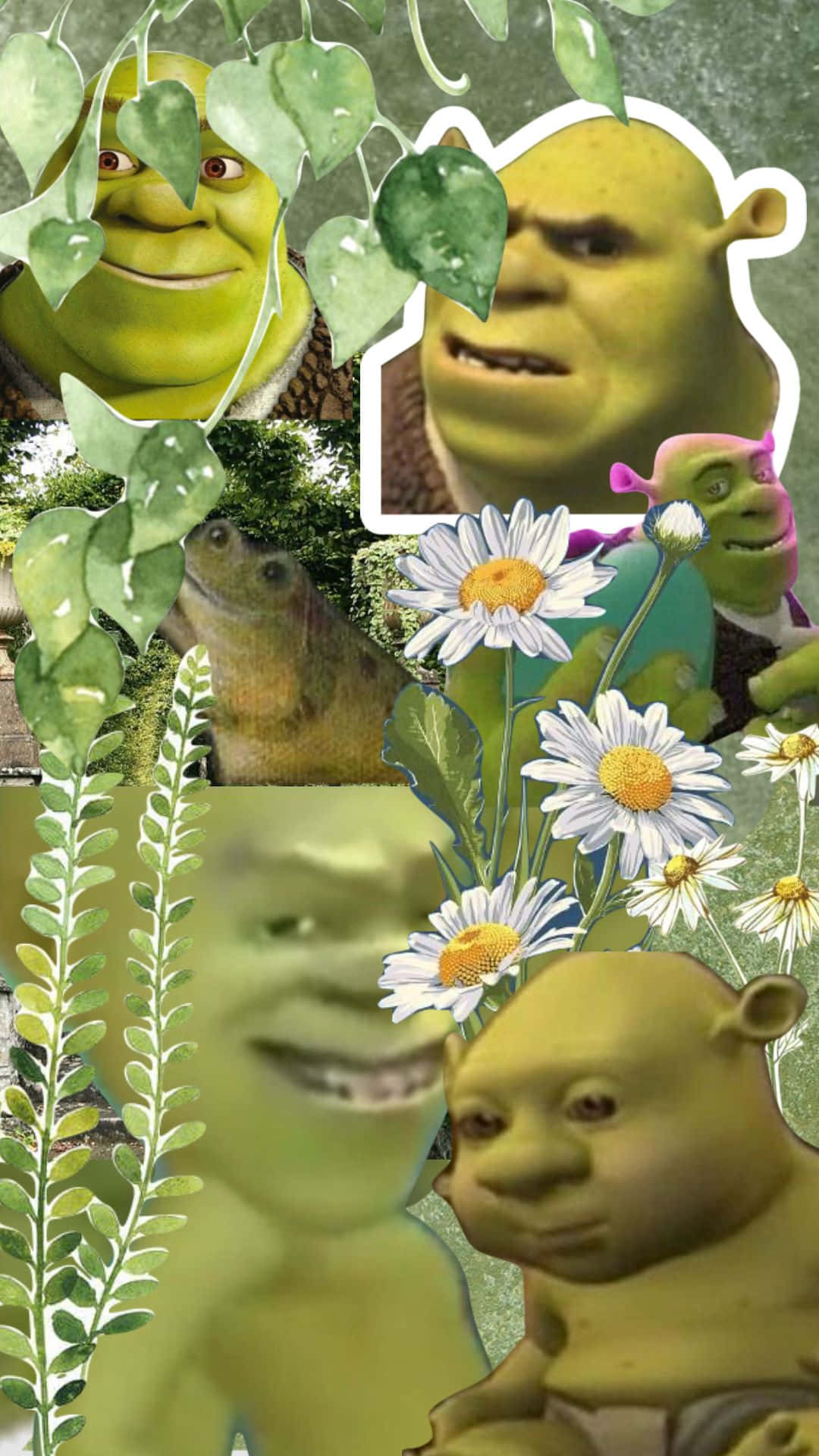 Shrek Collage Natuur Esthetiek.jpg Achtergrond