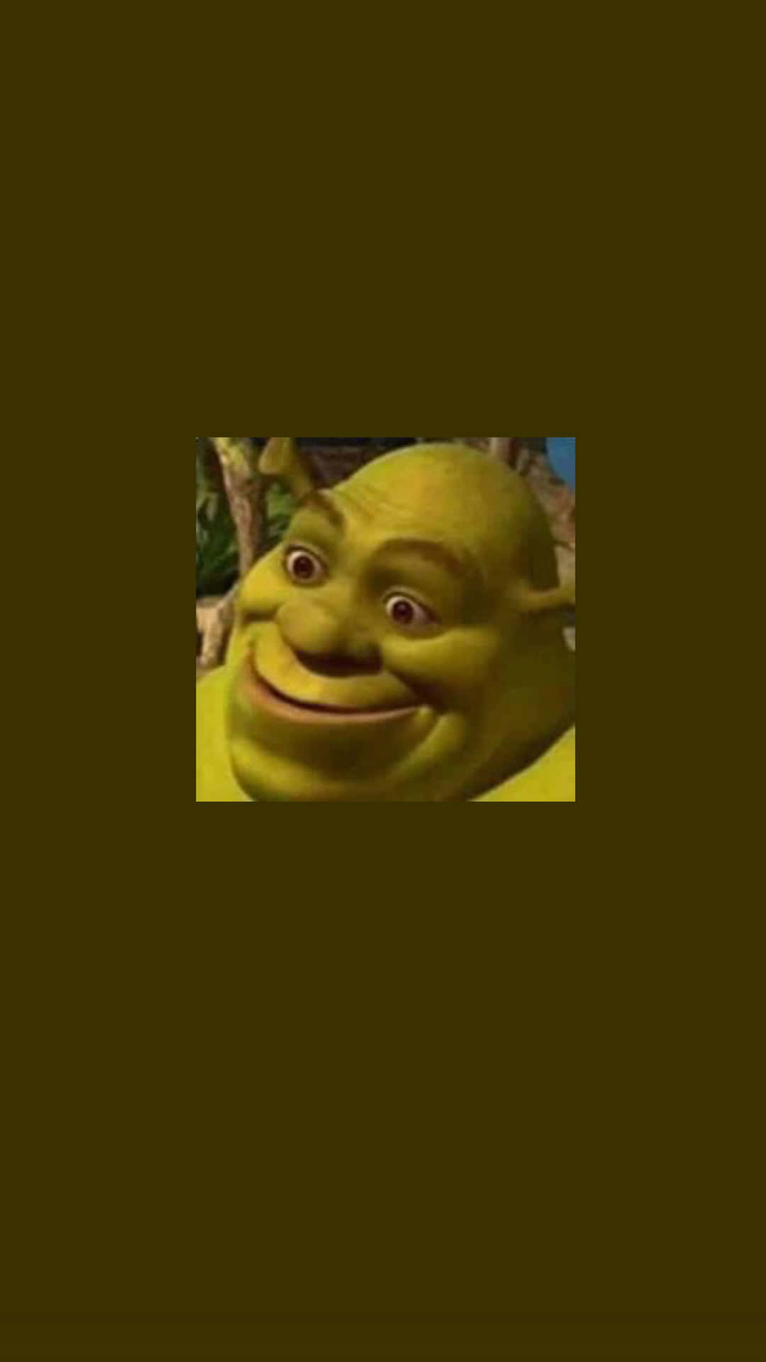 Shrek Making a Funny Face