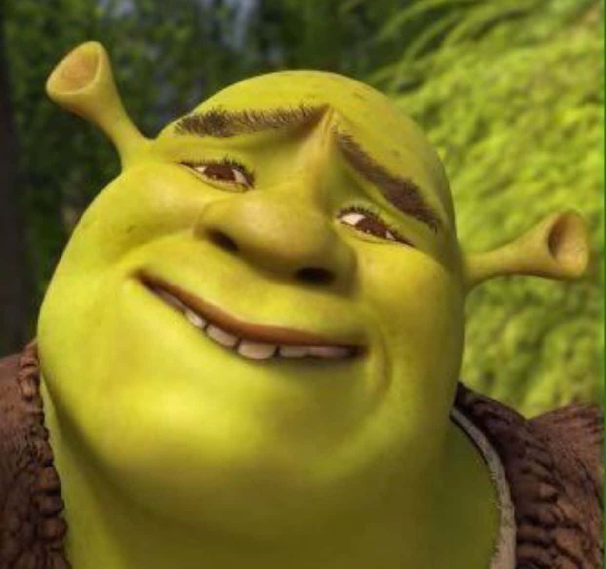 Shrek is all Smiles!