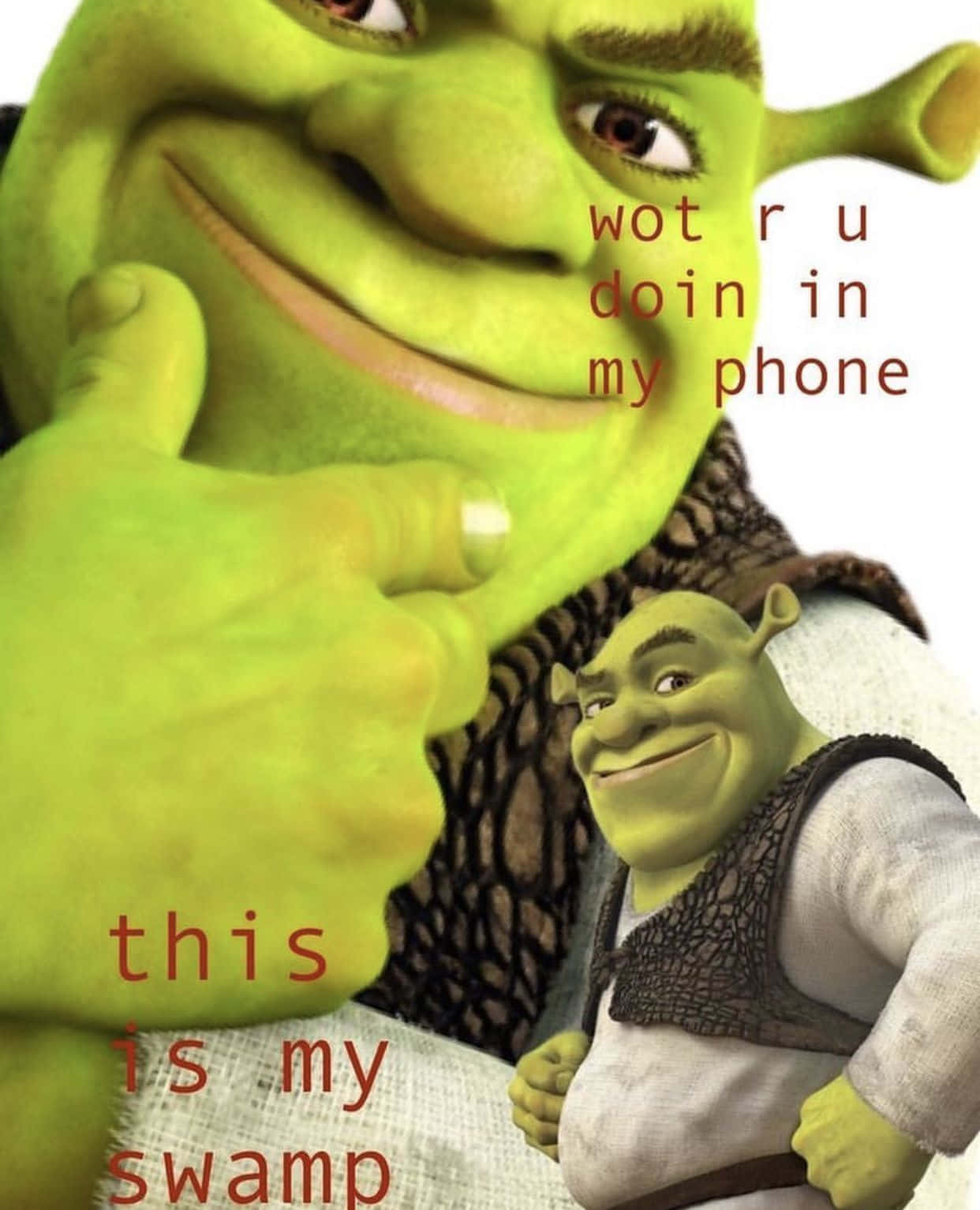 Shrek_ Meme_ Swamp_ Phone Wallpaper