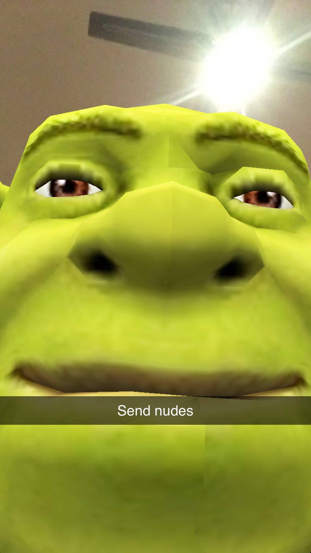 Shrek Nudes Meme Pfp Background