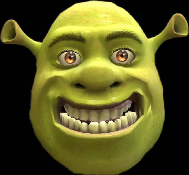 Shrek Smiling Close Up PNG