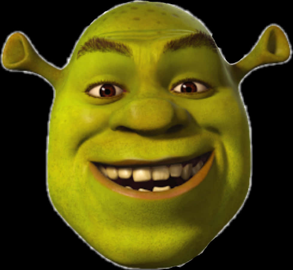 Shrek Smiling Portrait PNG