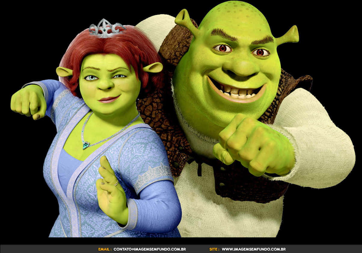 Download Shrekand Fiona Animated Characters | Wallpapers.com