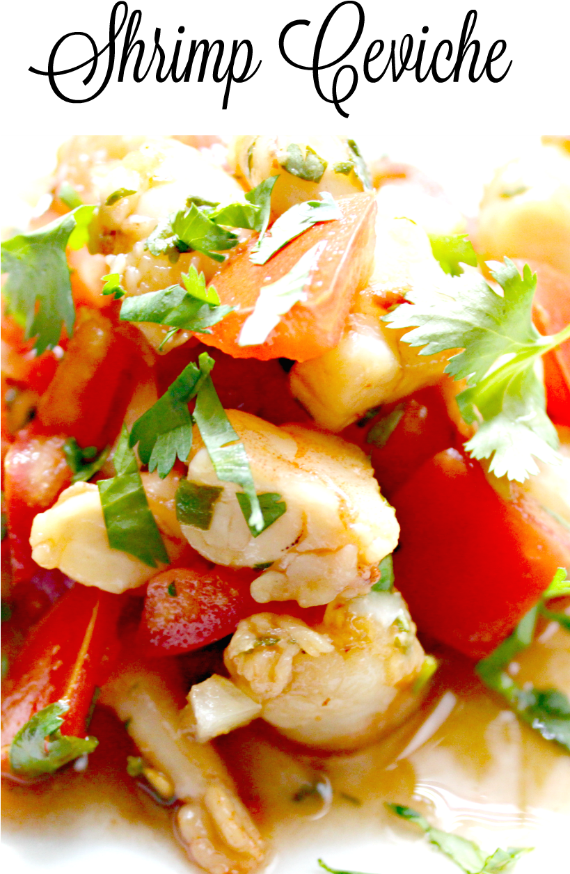Shrimp Cevichewith Coriander PNG